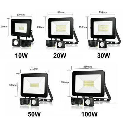 LED floodlights with motion sensors in 10W, 20W, 30W, 50W, and 100W sizes, black frames
