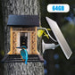 1080P Smart Bird Feeder with HD Camera – Solar Powered WiFi Bird Watching Feeder