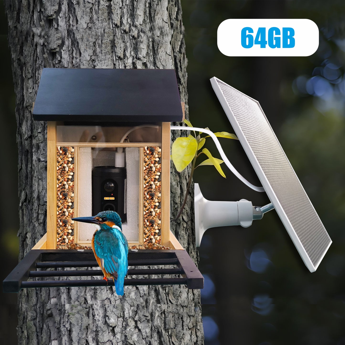 1080P Smart Bird Feeder with HD Camera – Solar Powered WiFi Bird Watching Feeder